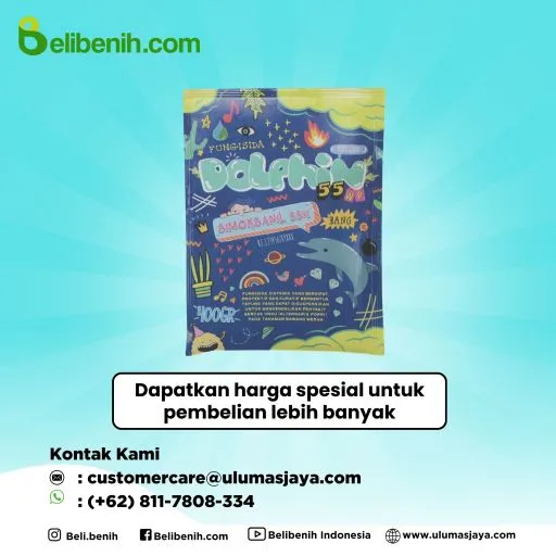 Dolphin 55 WP