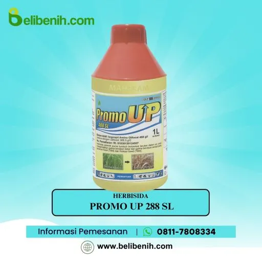 Promo up 288 SL