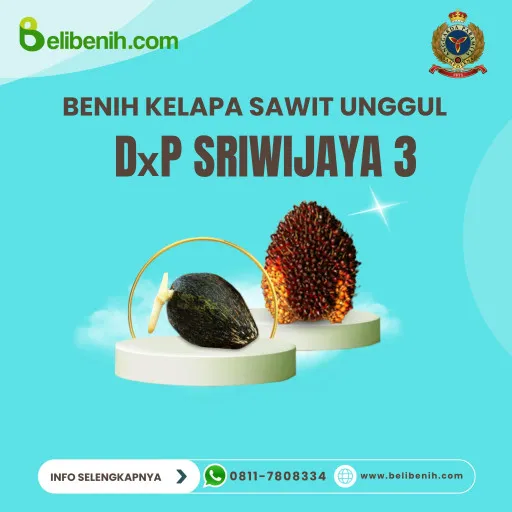 DxP Sriwijaya 3