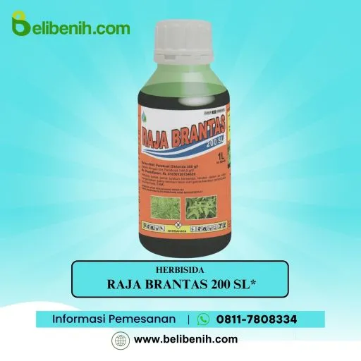 Rajabrantas 200 SL*