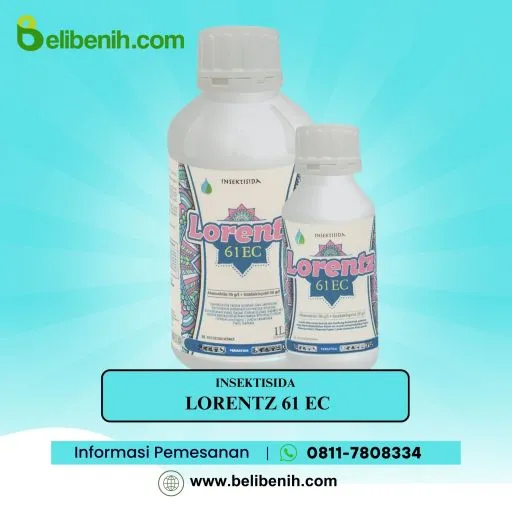 Lorentz 61 EC