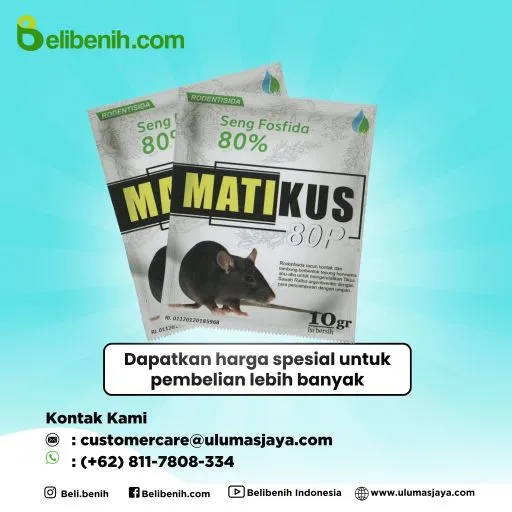 Matikus 80 P