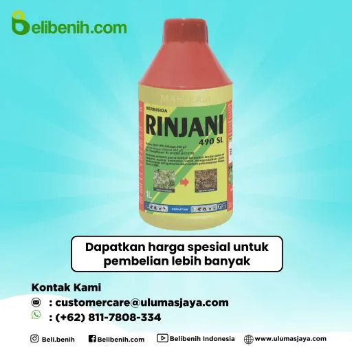 Rinjani 490 SL
