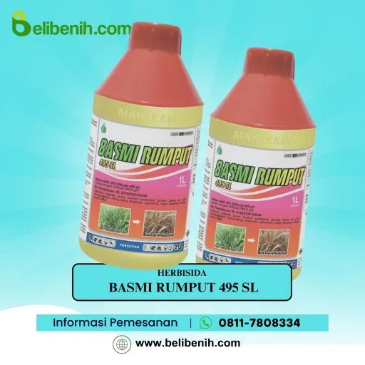 8asmuruput 495 SL