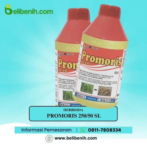 Promoris 250/5 SL