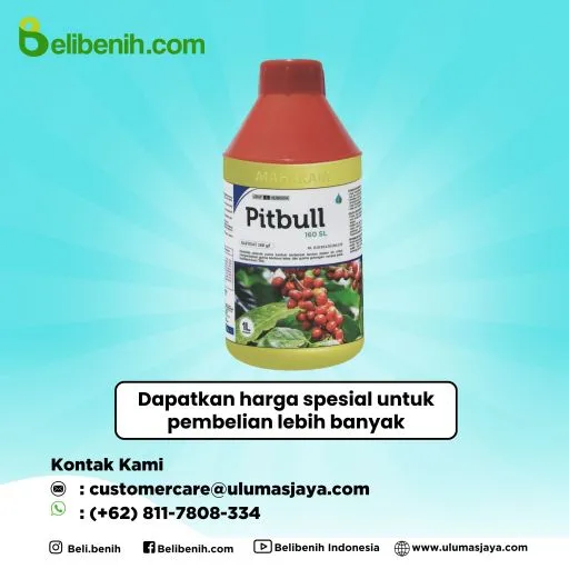 Pitbull 160 SL