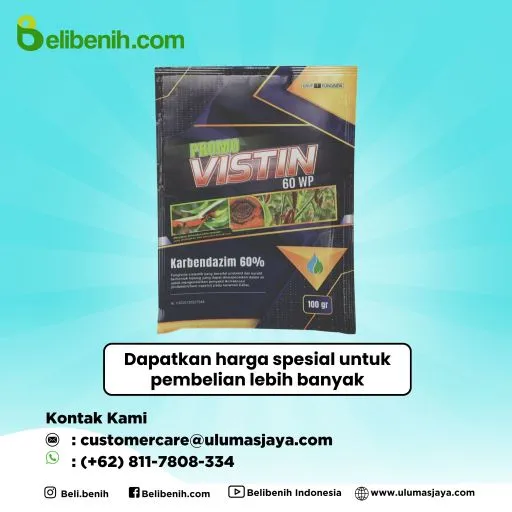 Promovistin 60 WP