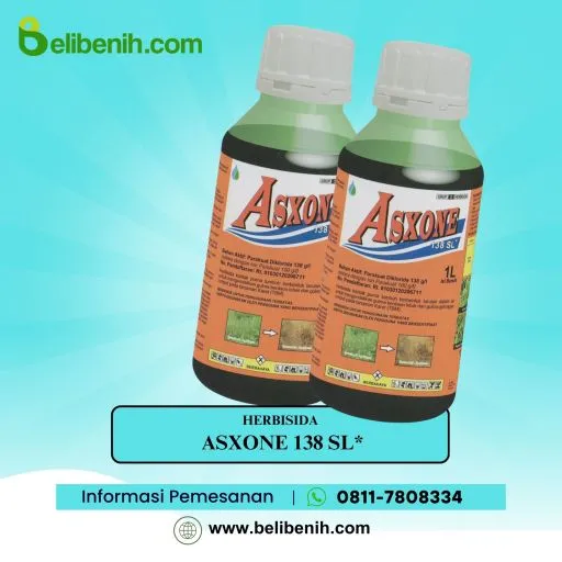Asxone 238 SL*