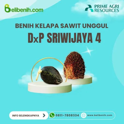 DxP Sriwijaya 4