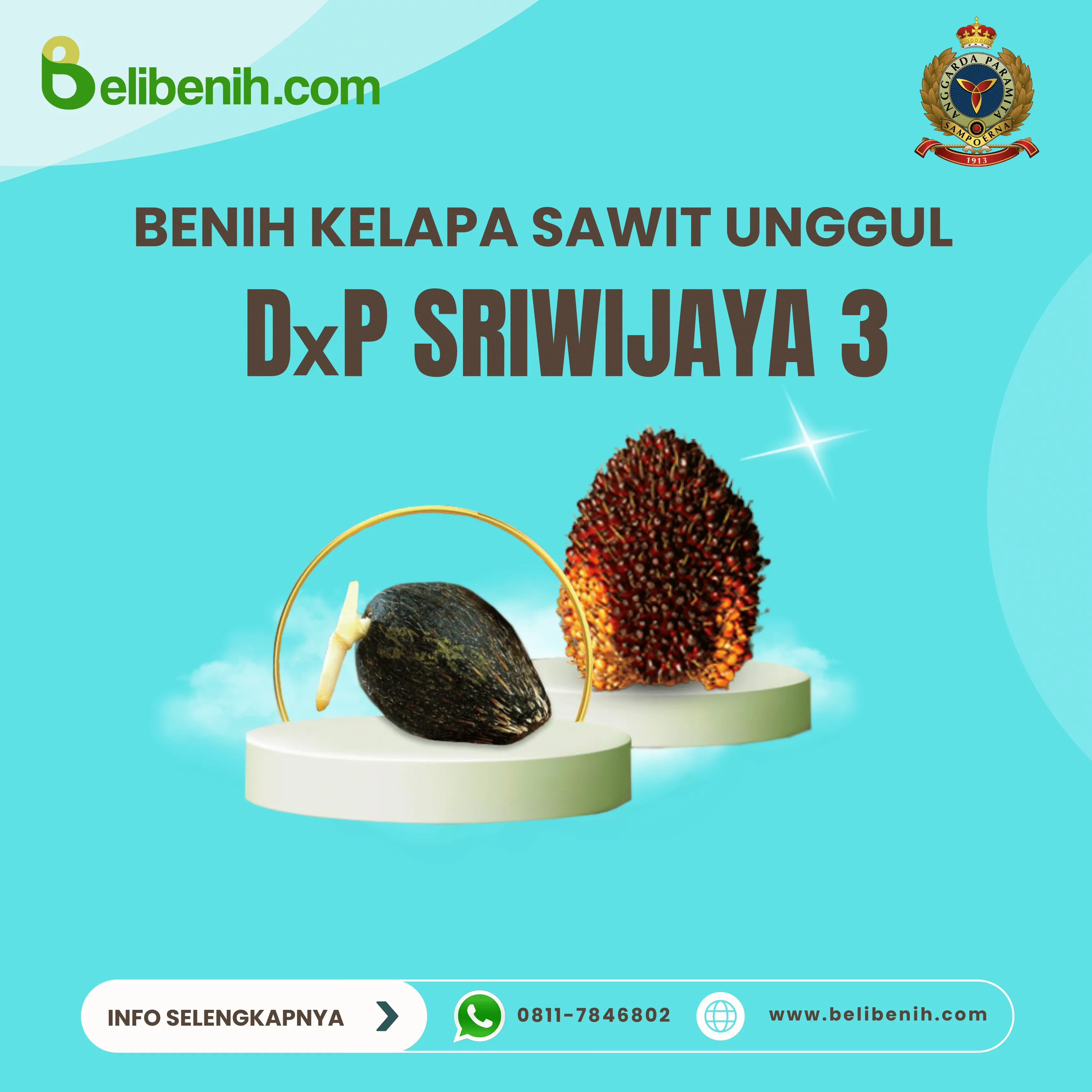 'DxP Sriwijaya 3'