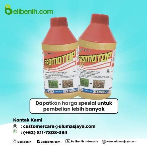 Promotop 531 SL