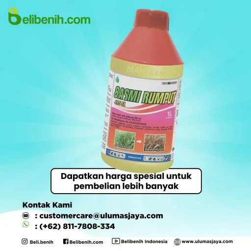 8asmiruput 495 SL
