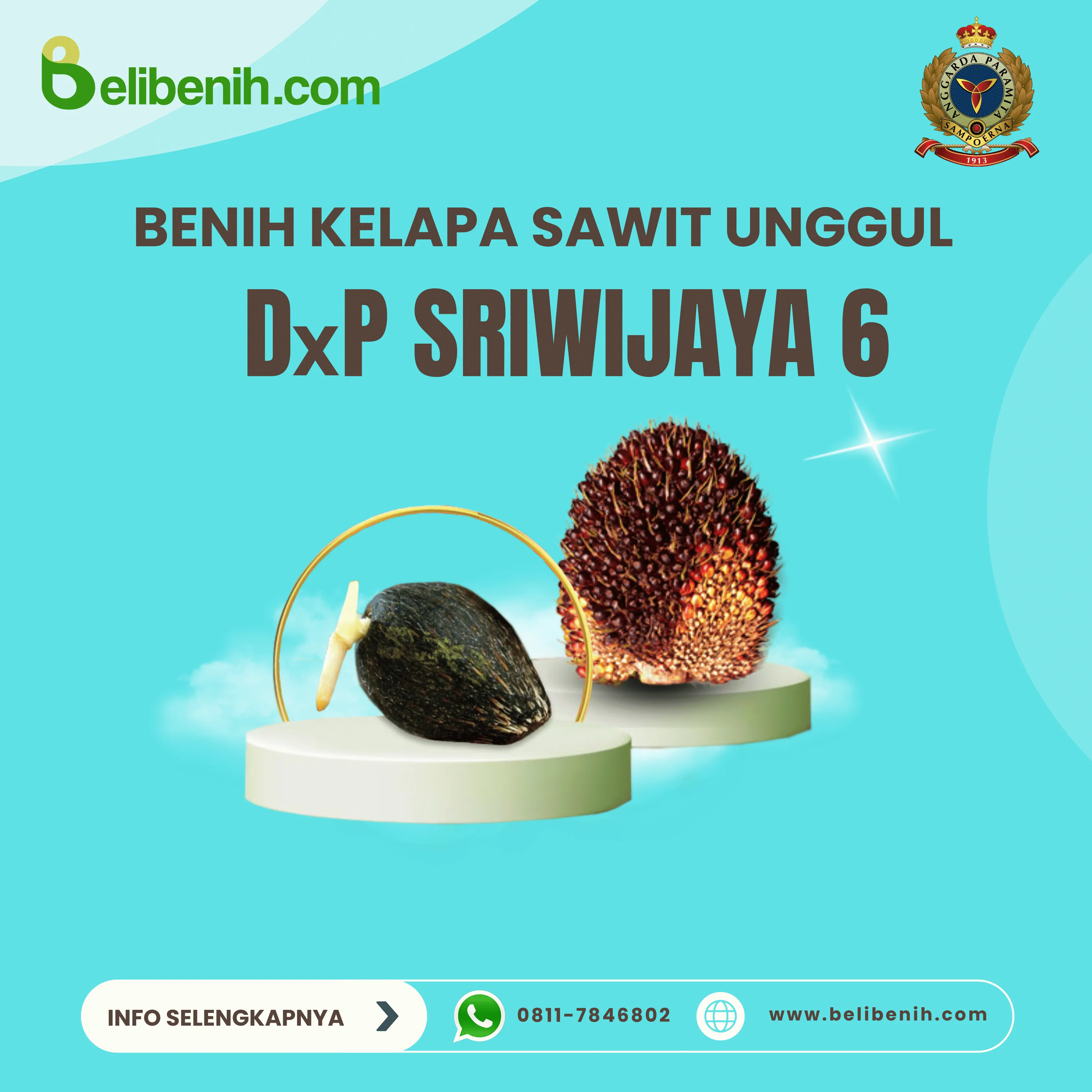 'DxP Sriwijaya 6'