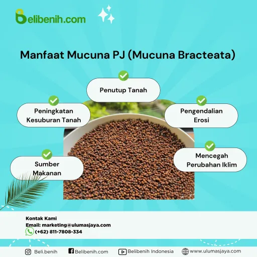 Mucuna PJ