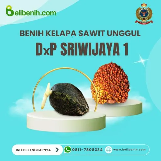 DxP Sriwijaya 1