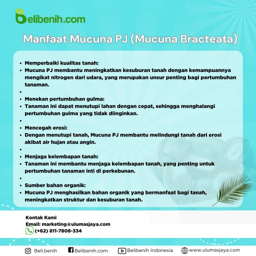 Mucuna PJ