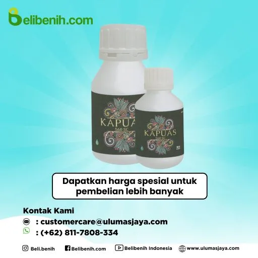 Kapuas 560 SC