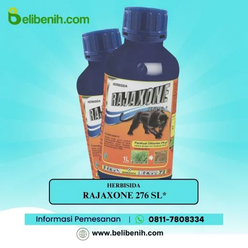 Rajaxone 276 SL*