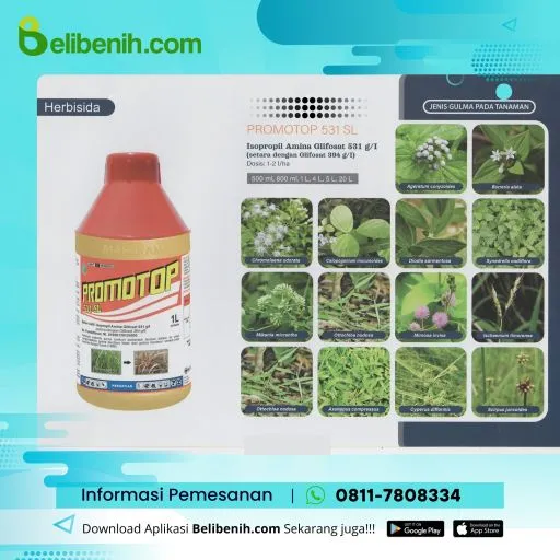 Promotop 531 SL