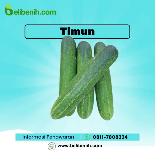 Timun