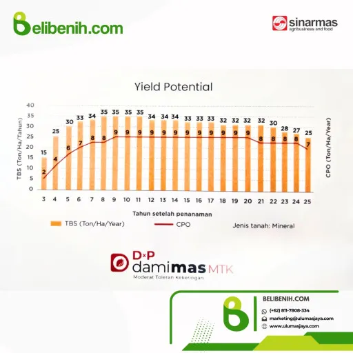 DxP Dami Mas MTK ( Moderat Toleran Kekeringan )