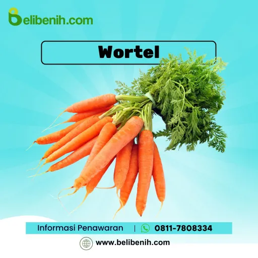 Wortel