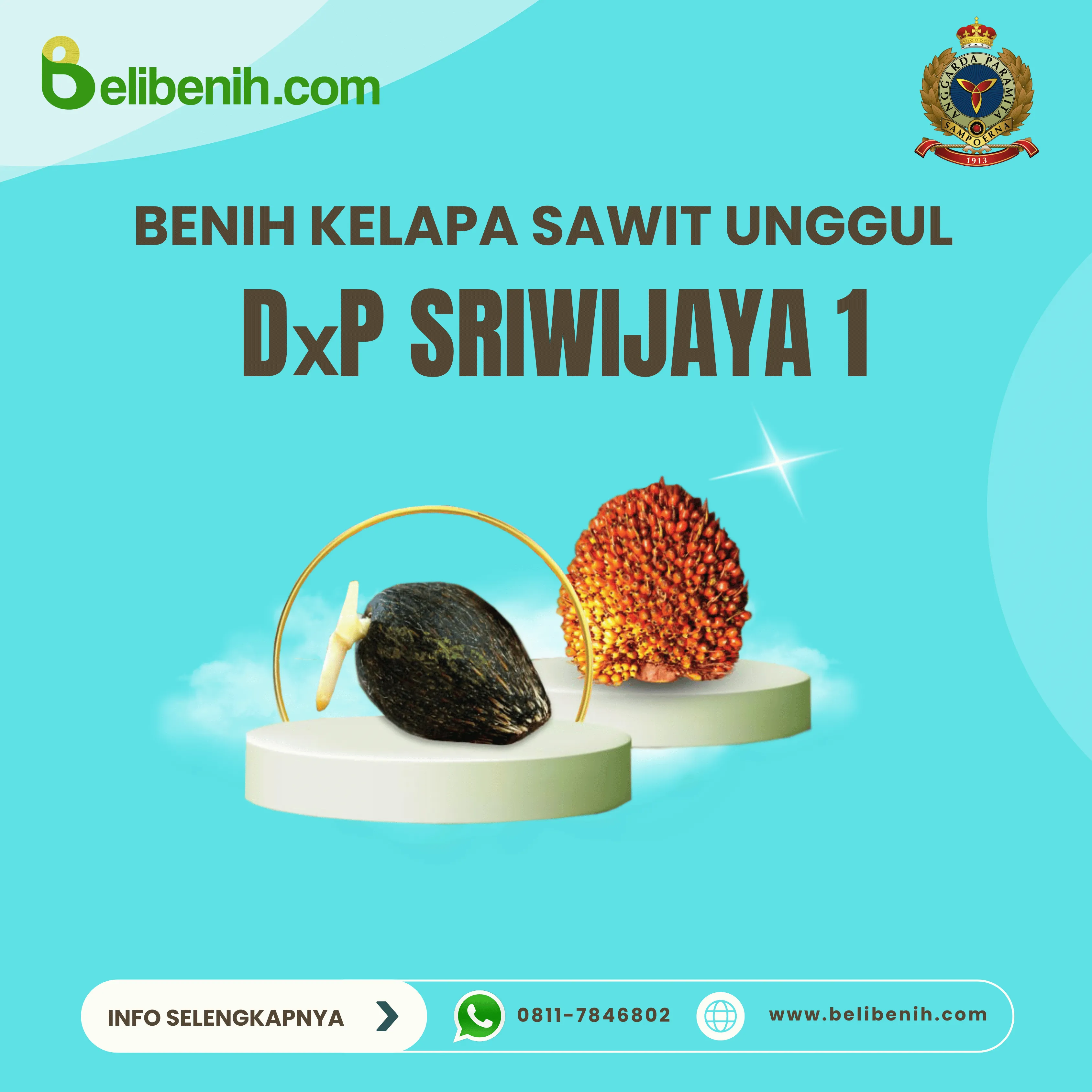 'DxP Sriwijaya 1'