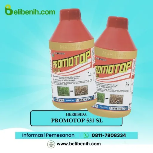 Promotop 531 SL