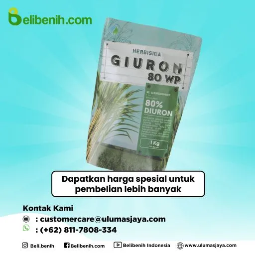 Gluron 80 WP