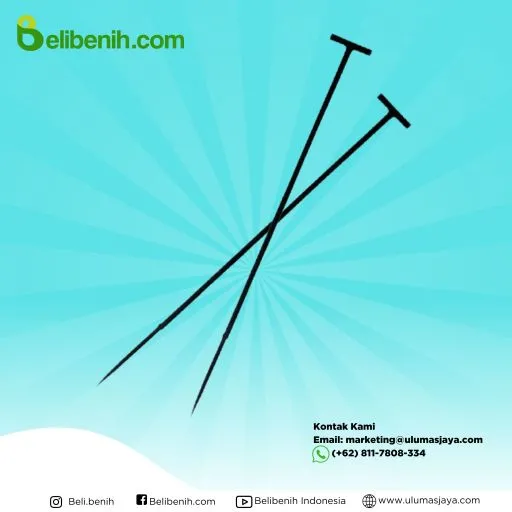 Tojok Warna Hitam