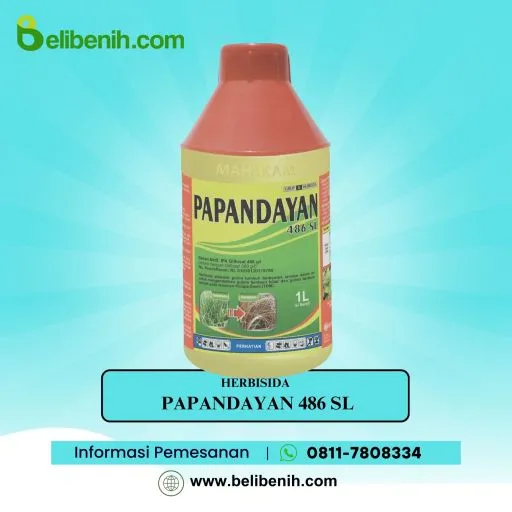 Papandayan 486 SL