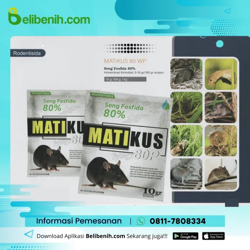 Matikus 80 P