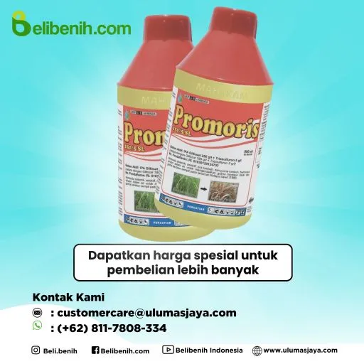 Promoris 250/5 SL