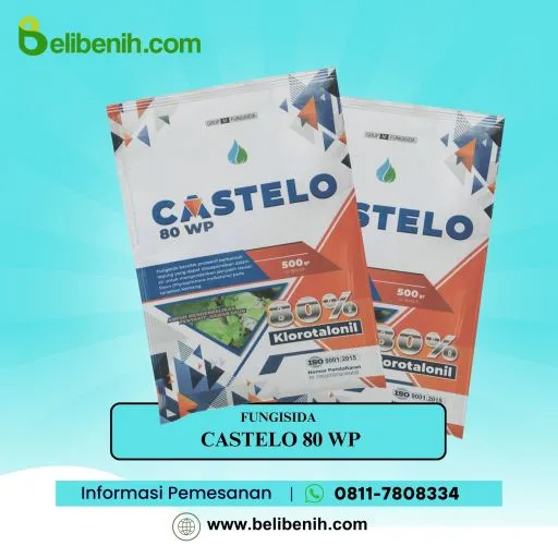 Castelo 80 WP