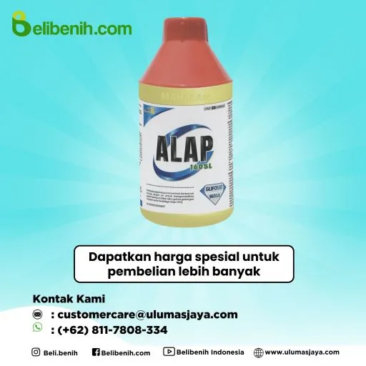 Alap 160 SL