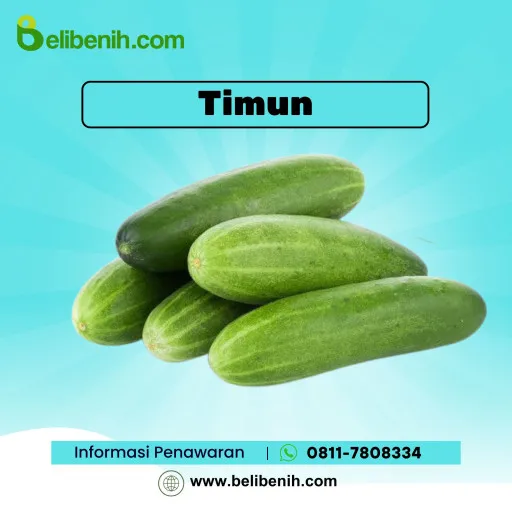 Timun