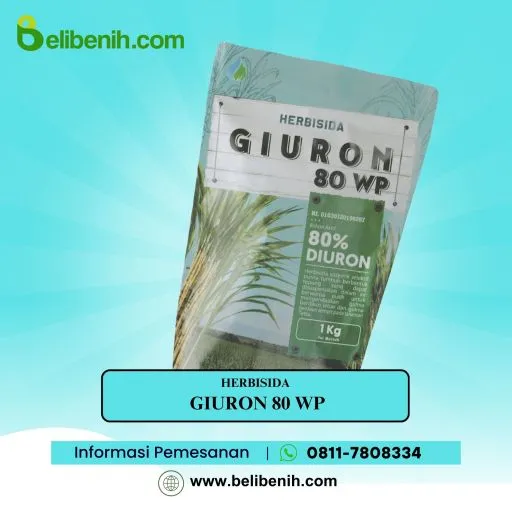 Giuron 80 WP