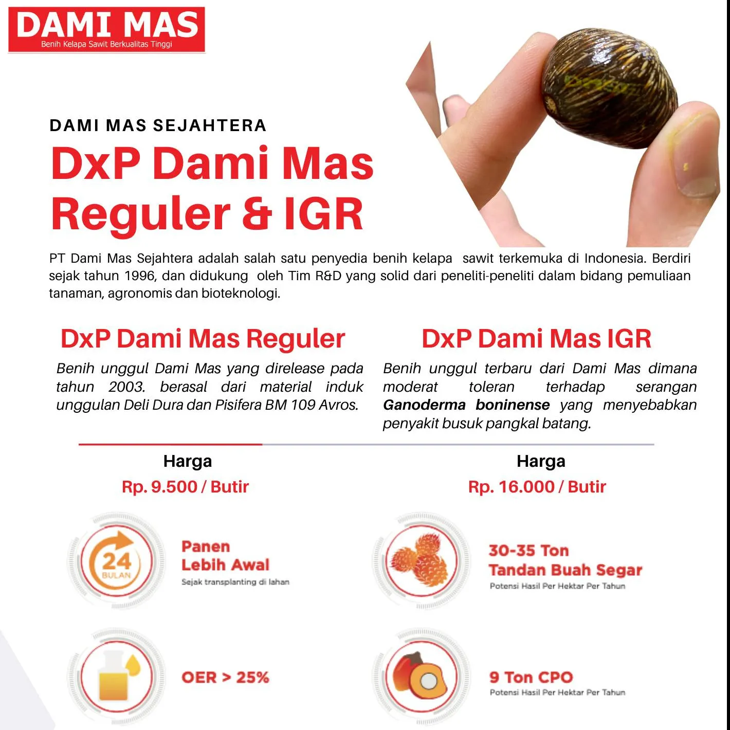 DxP Dami Mas Sejahtera 1