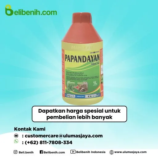 Papandayan 486 SL
