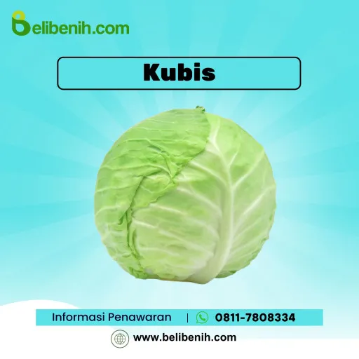 Kubis