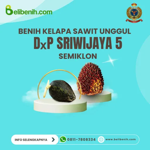 DxP Sriwijaya 5 semiklon