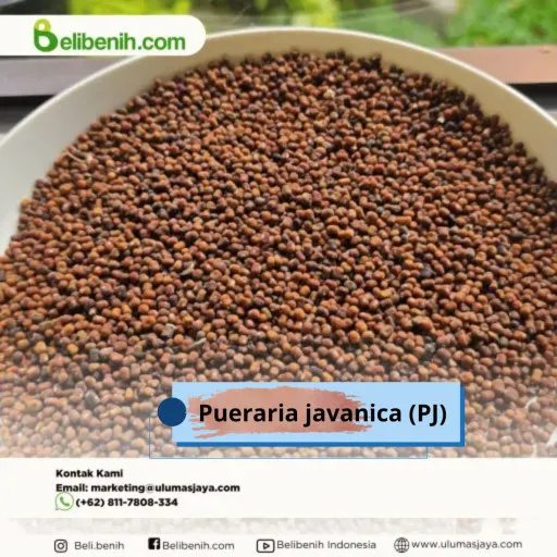 Pueraria javanica (PJ)