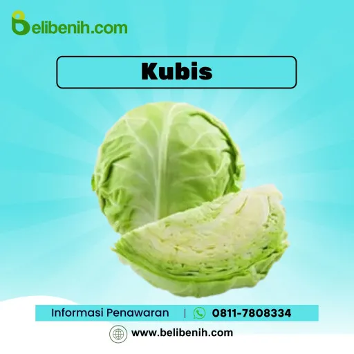 Kubis