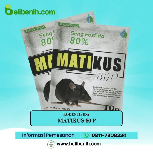 Matikus 80 P