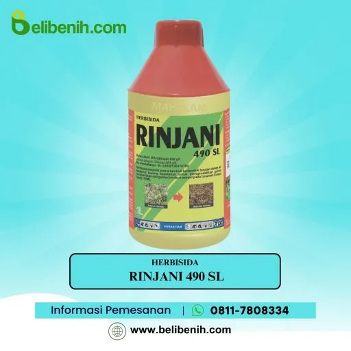 Rinjani 490 SL