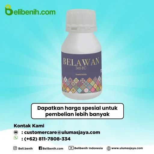 Belawan 365 EC