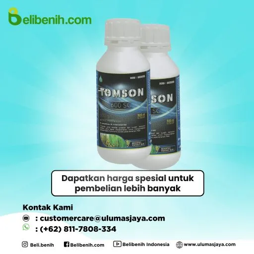 Tomson 600 SC