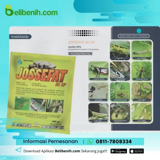 Jossefat 80 Sp