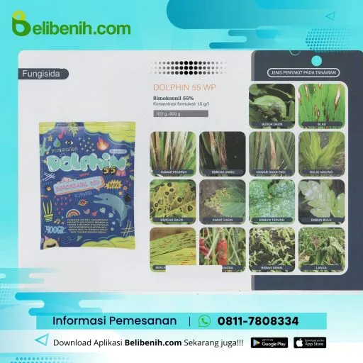 Dolphin 55 WP
