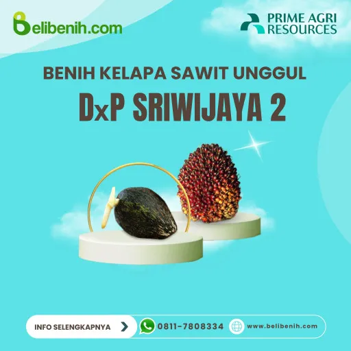 DxP Sriwijaya 2